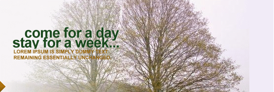 come for a day stay for a week come for a day stay for a week